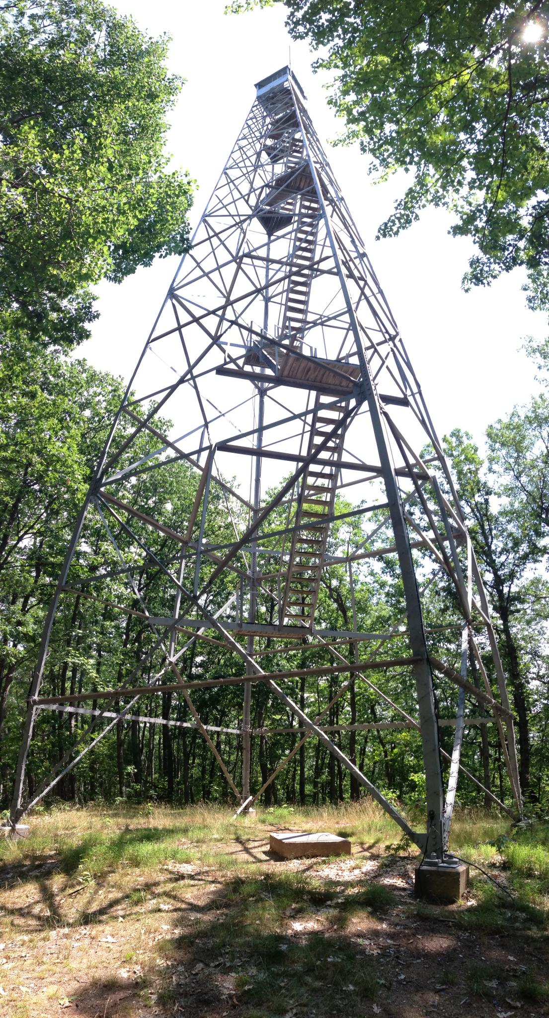 Tall metal observation tower stands among green trees on a sunny day.