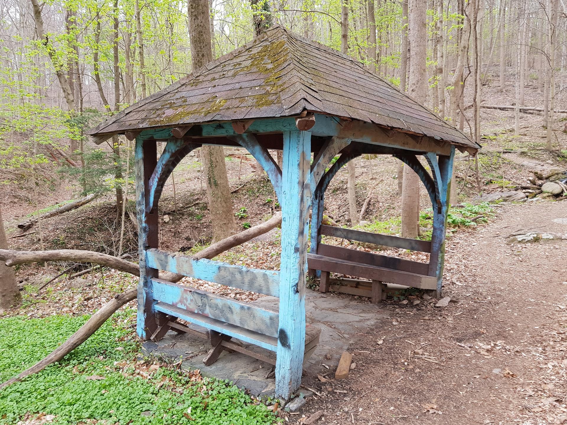 An old, weathered blue gazebo sits in a green forest.