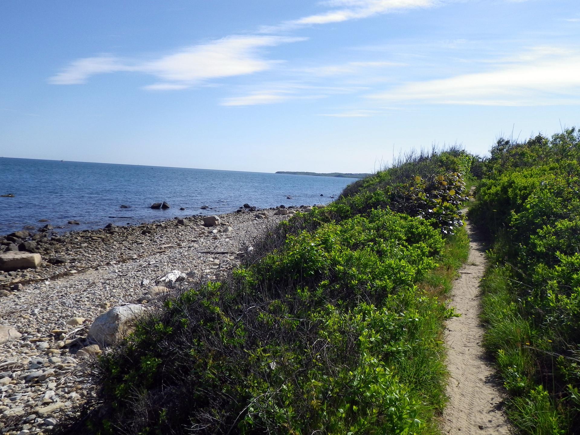 A dirt path runs alongside a rocky beach with green coastal bushes.