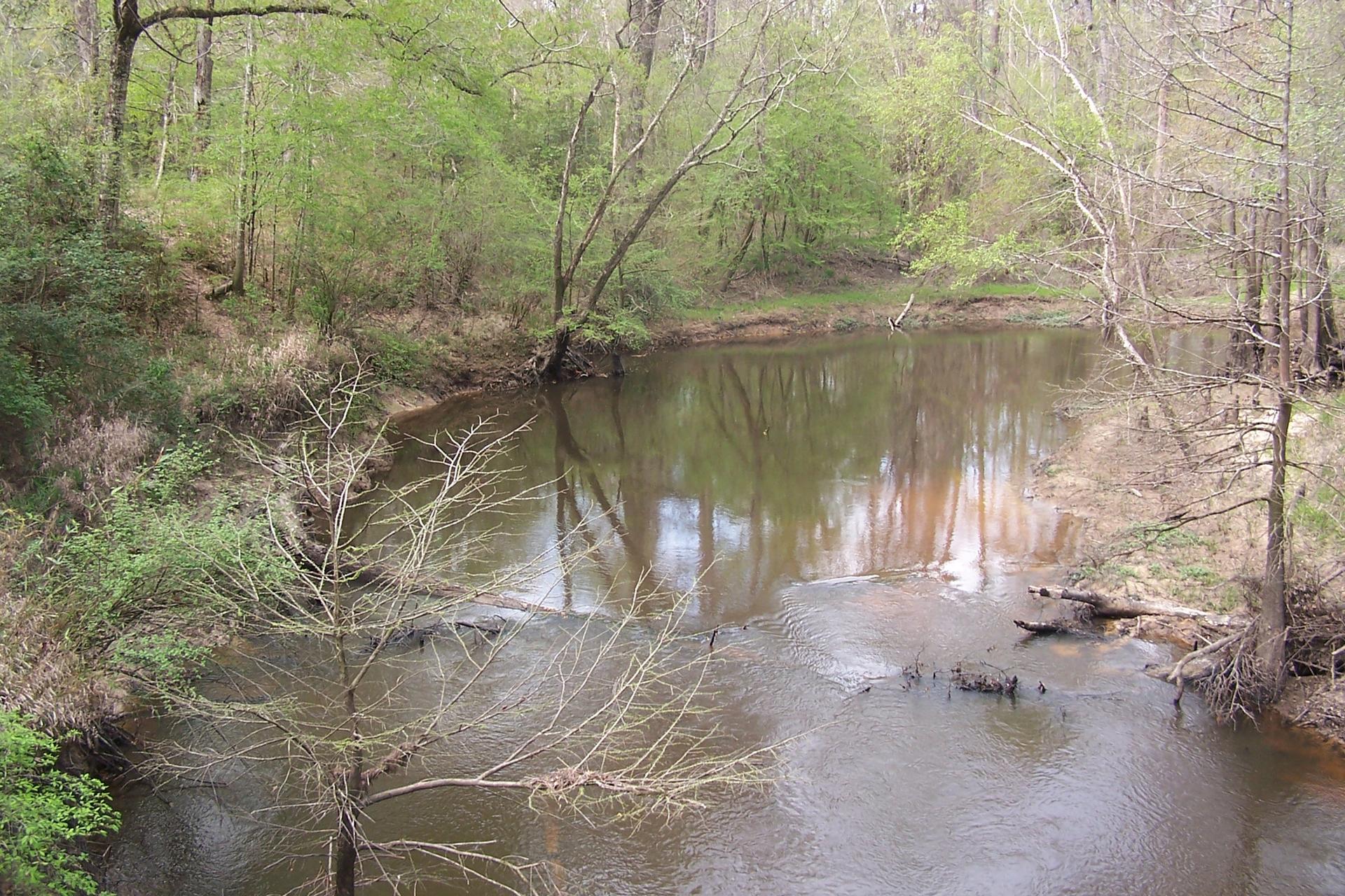 A winding river flows through a dense, green forest under natural light.