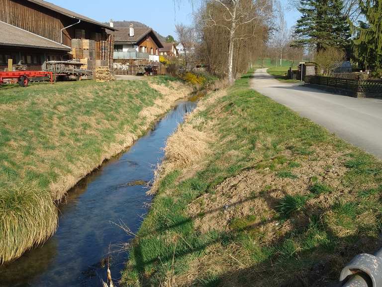 Geisslibach Gravelweg Radtouren und Radwege komoot