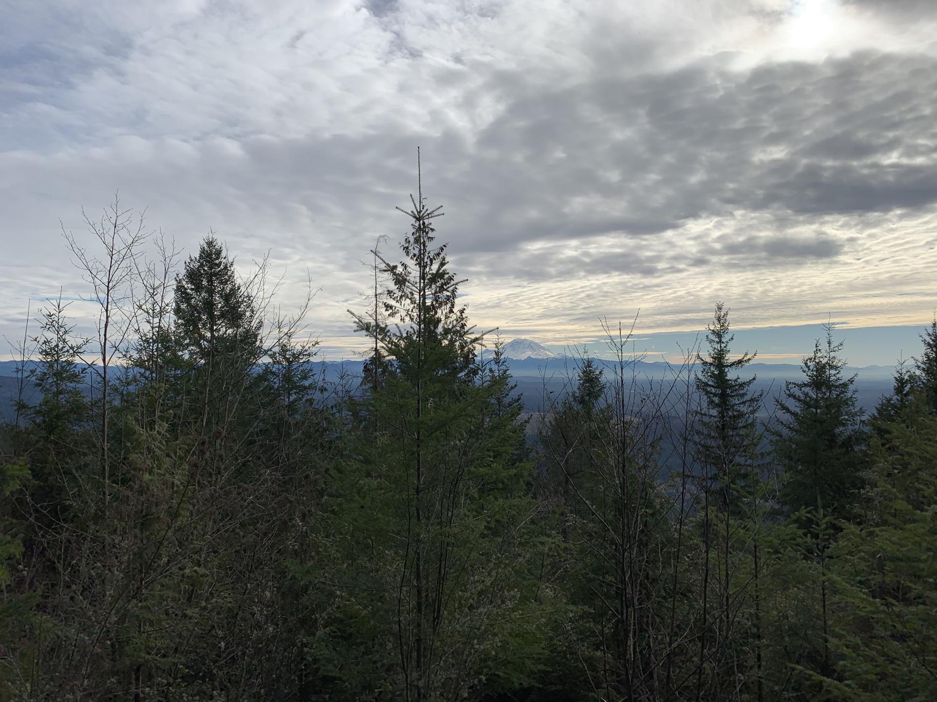 Dense evergreen forest with distant mountains under a cloudy sky.