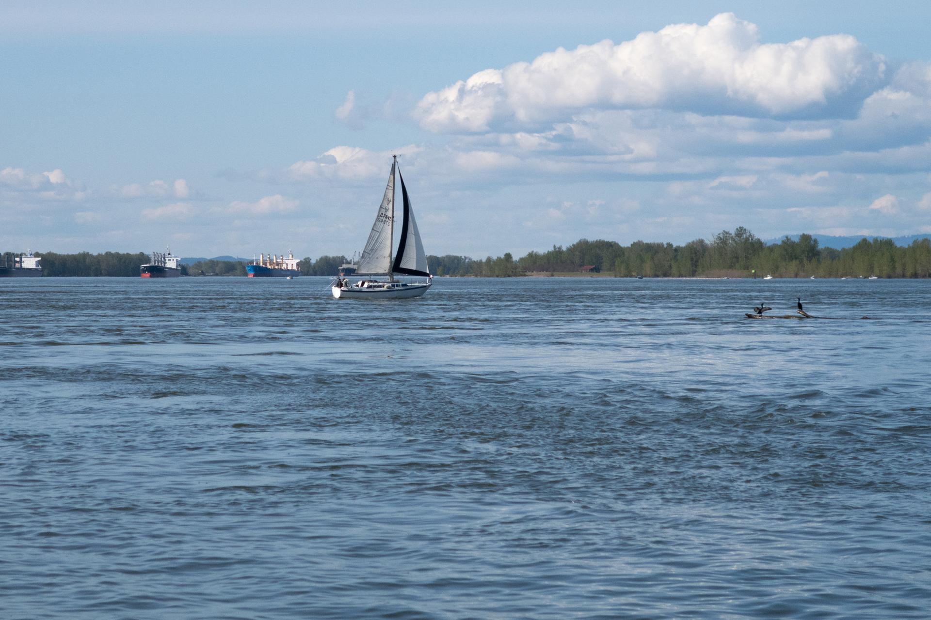 A sailboat glides across blue water under a partly cloudy sky.