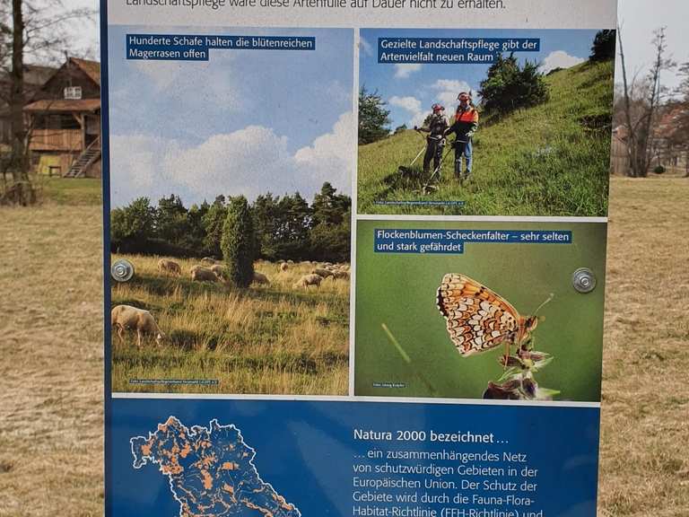 Tal der Schwarzen Laber (KM): Mountainbike-Touren und -Trails | komoot