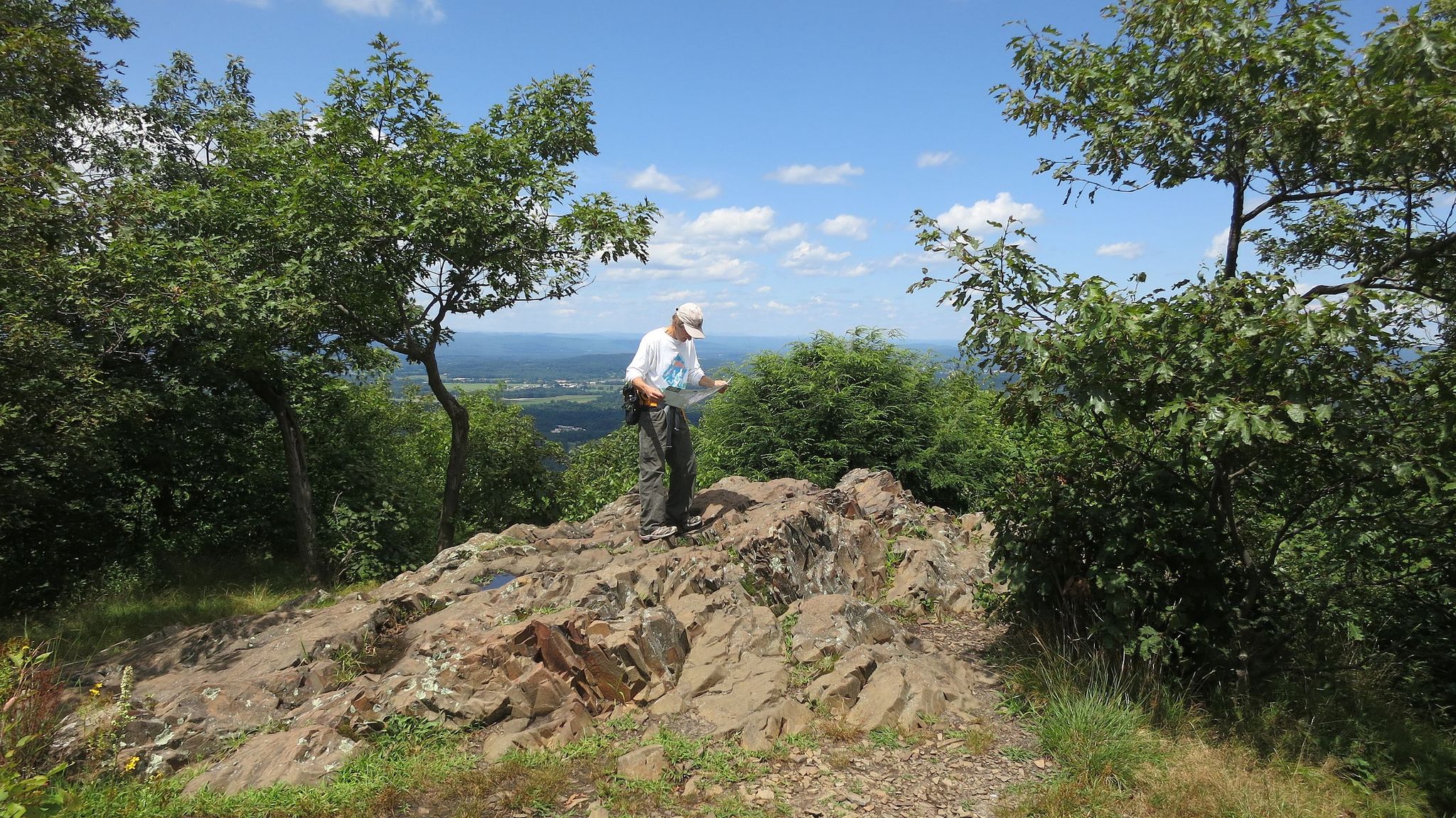 Man playing guitar on a rocky outcrop, surrounded by green trees. - MA NET: Section 8
