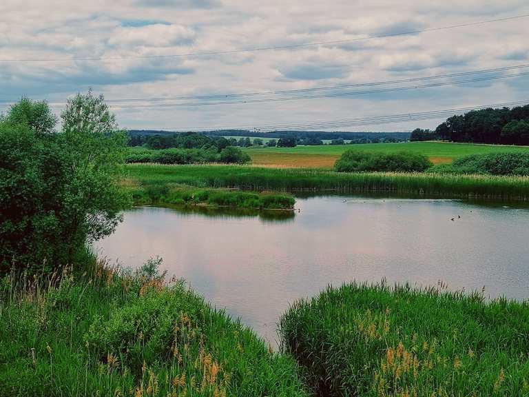 NSG Frießnitzer See Struthniederung // Frießnitz Rennradfahren und