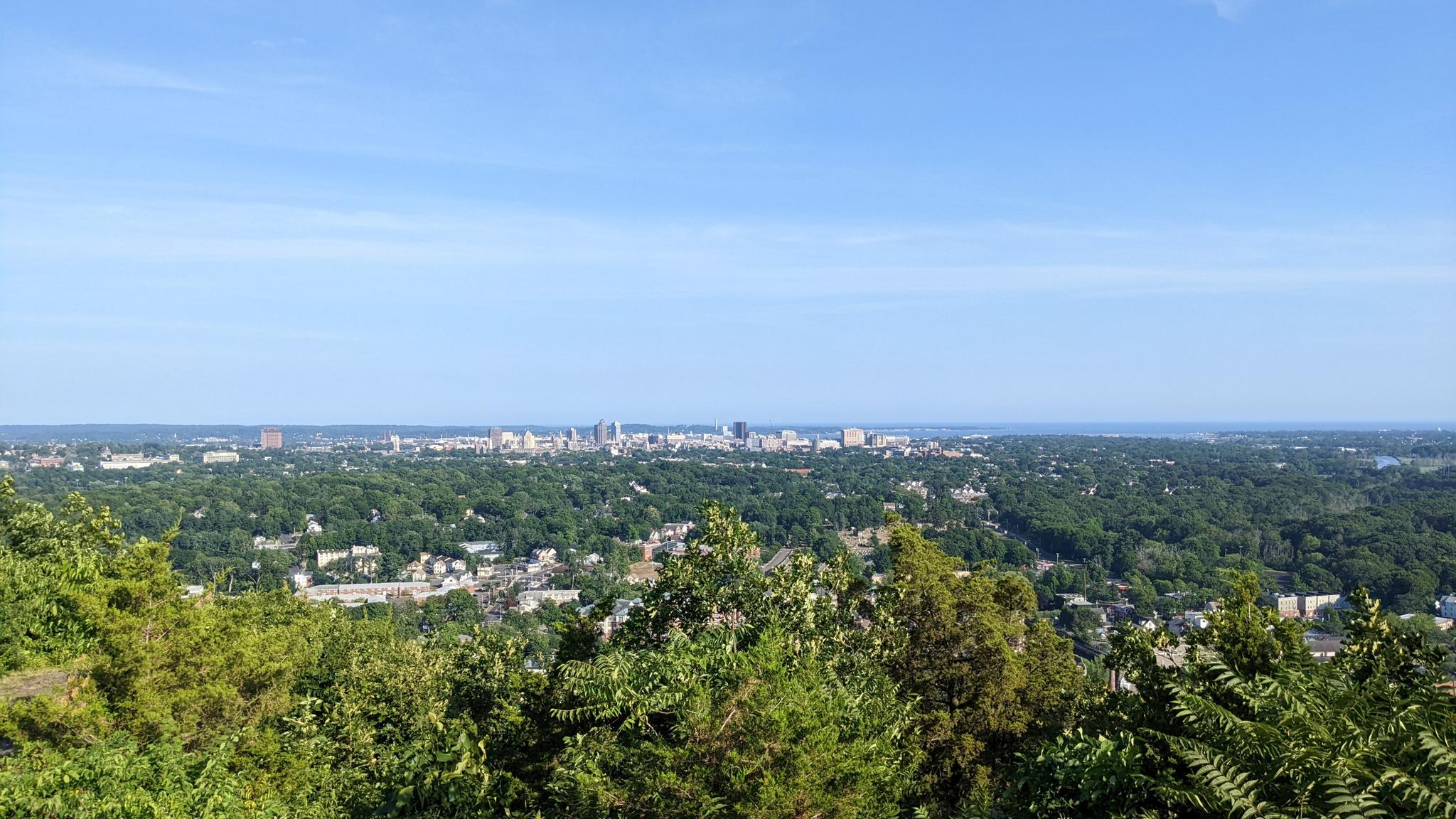 Distant city skyline visible over dense green trees under a clear blue sky.