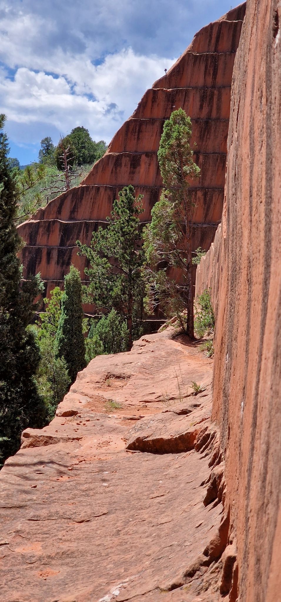 Narrow dirt path alongside a towering, layered red rock cliff with green trees. - Red Rock Rim and Greenlee Loop