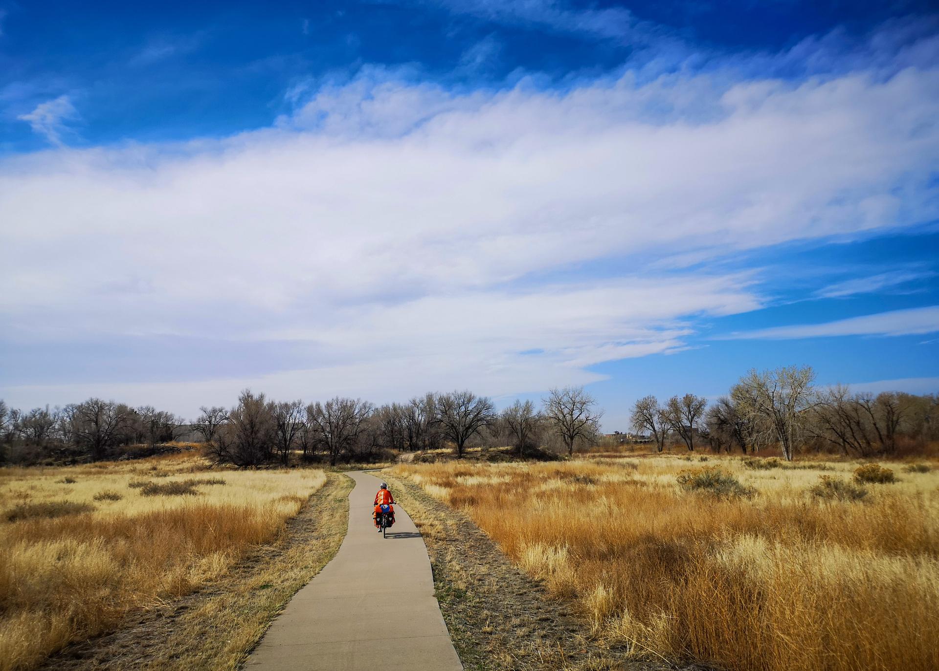 A person cycles on a paved path through a sunny field with dry grass.