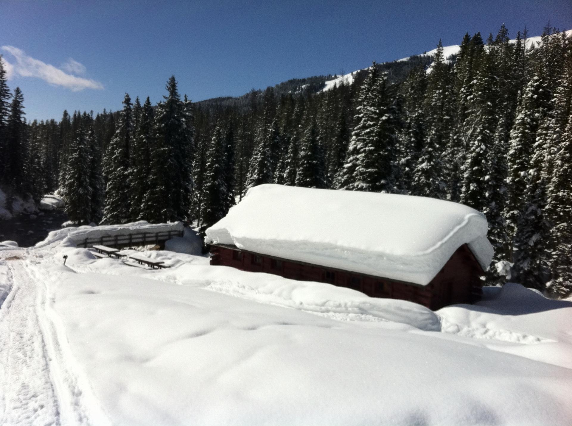 Deep snow covers a cabin and evergreen forest under a bright blue sky.