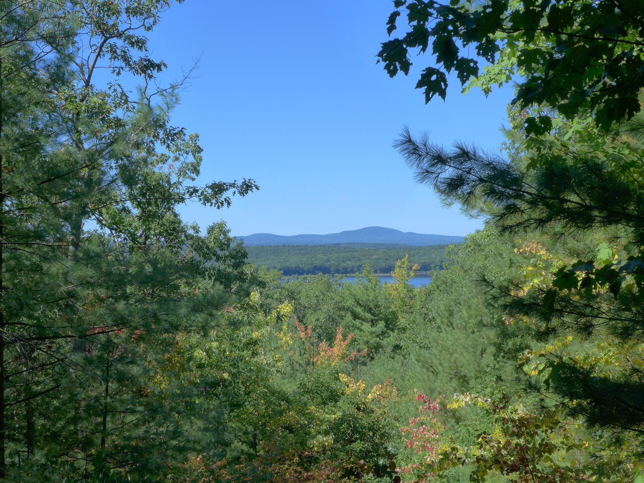 Panoramic view of a forest, distant lake, and mountains under a clear sky.