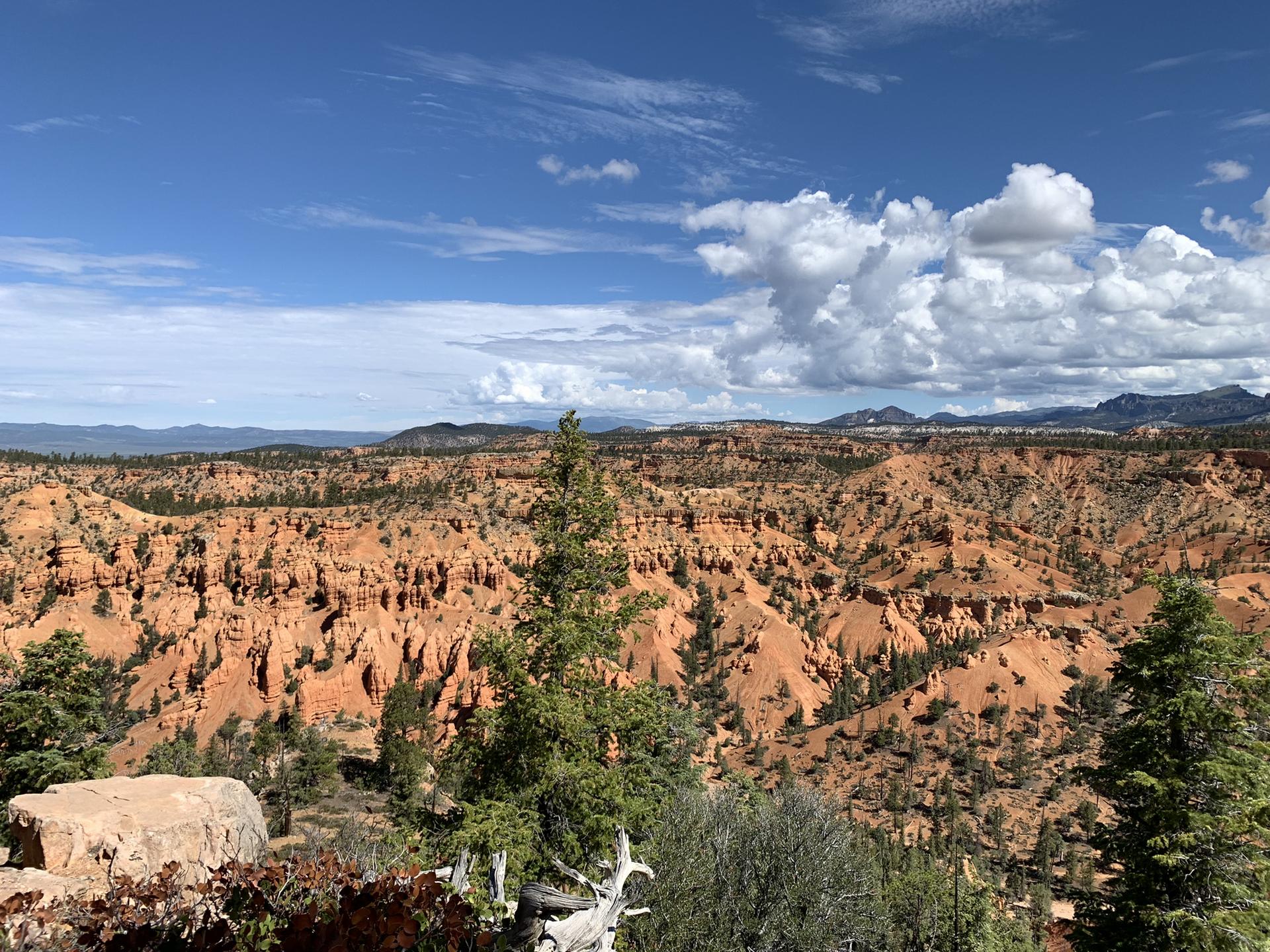 Expansive view of orange rock formations and green trees under a cloudy sky.