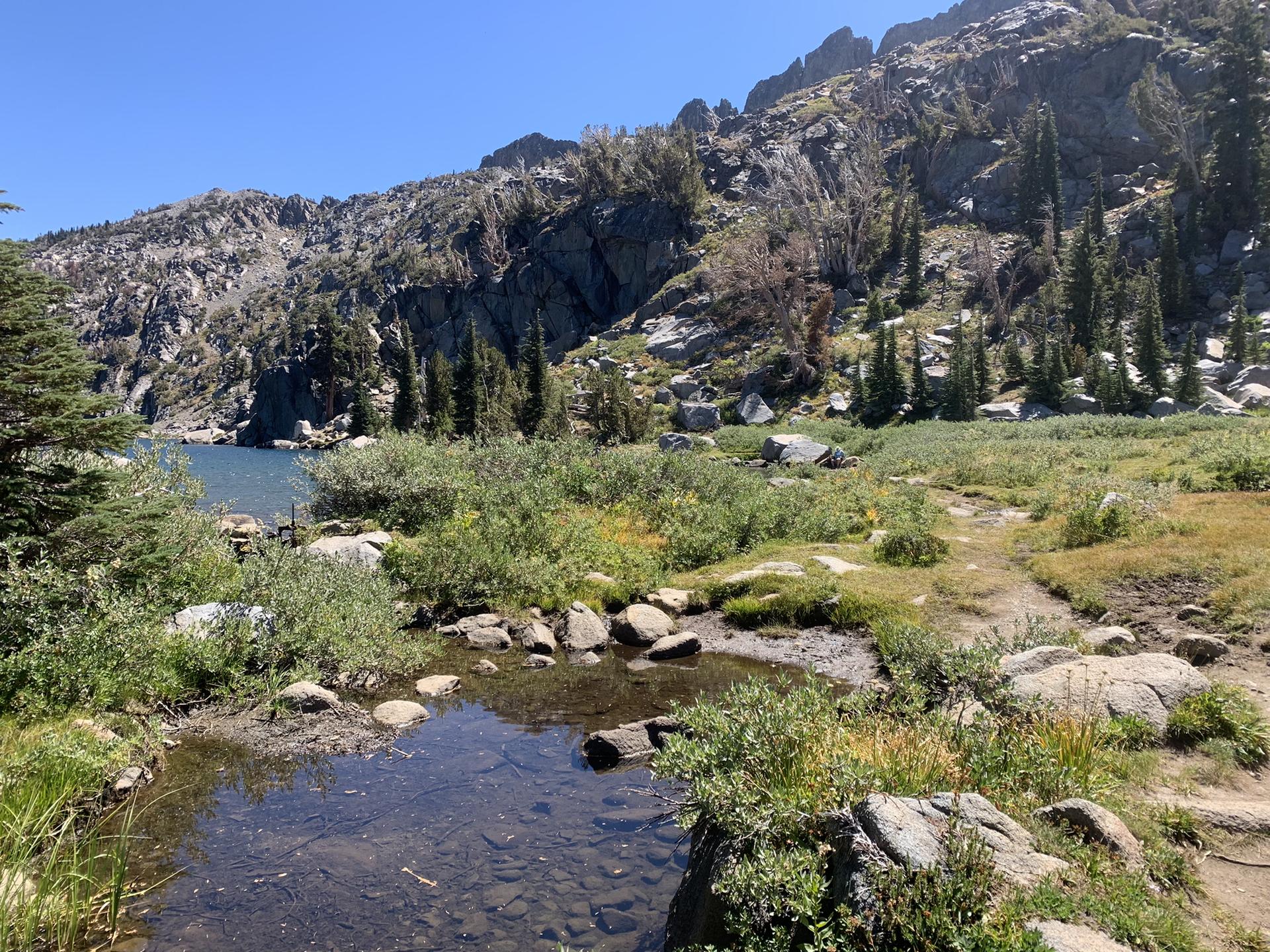A clear stream flows into a mountain lake surrounded by rocks and trees.