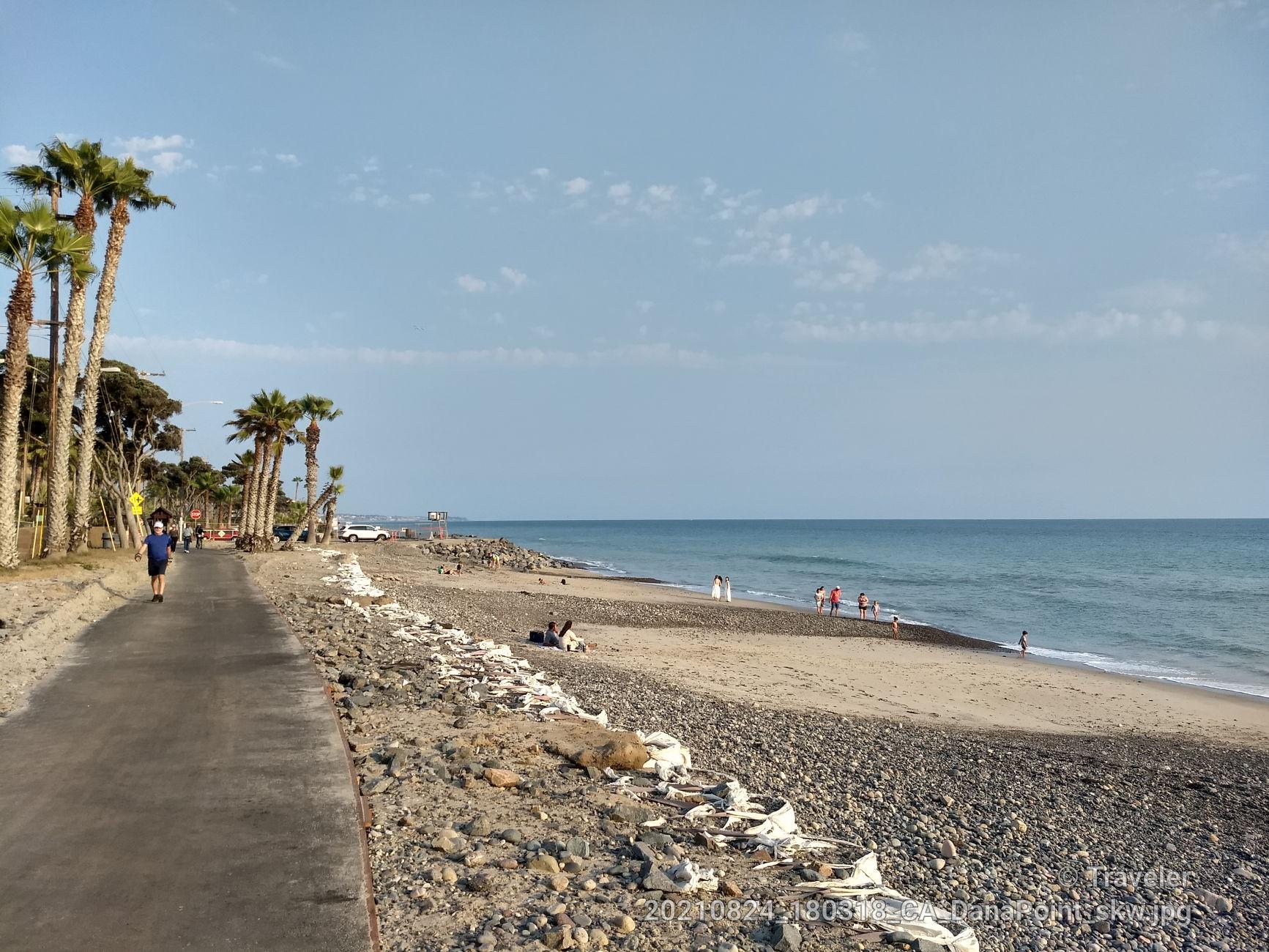 Sunny beach with palm trees, people walking, and calm ocean waves.
