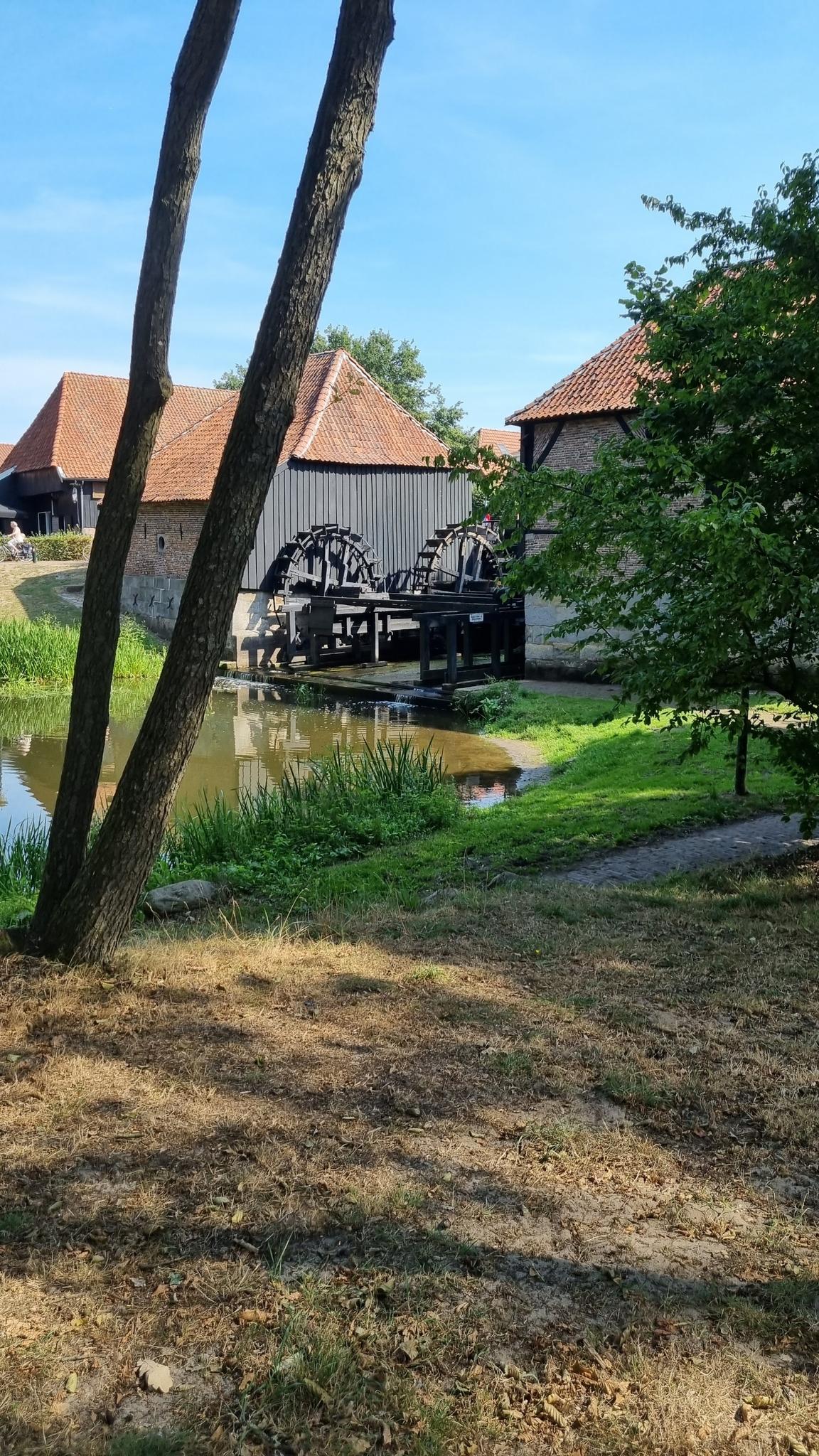 Oliemolen + Korenmolen: MTB-routes En Trails | Komoot