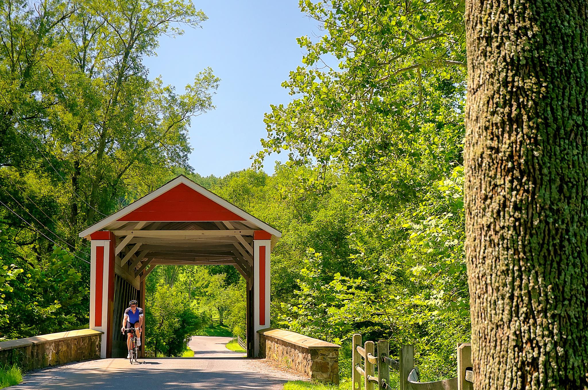 Cyclist approaches a red covered bridge on a sunny, tree-lined path.