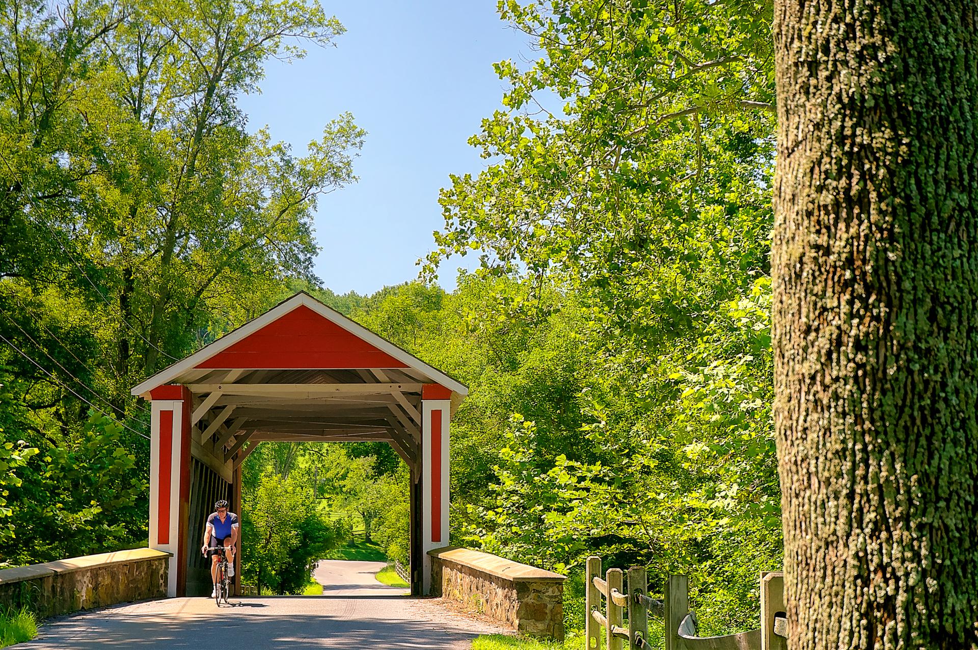 Cyclist approaches a red covered bridge on a sunny, tree-lined path.