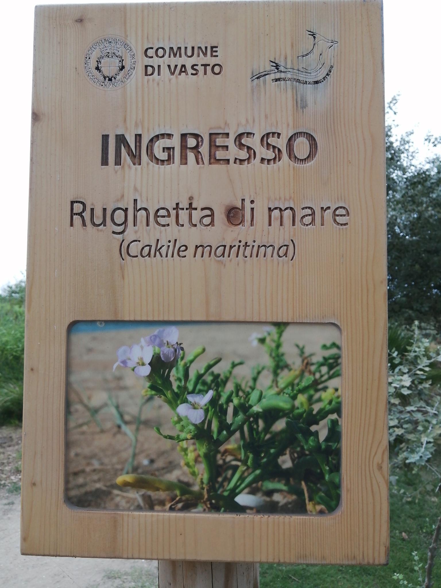 Top 5 Natural Monuments around Gissi | Komoot, image size:1536x2048