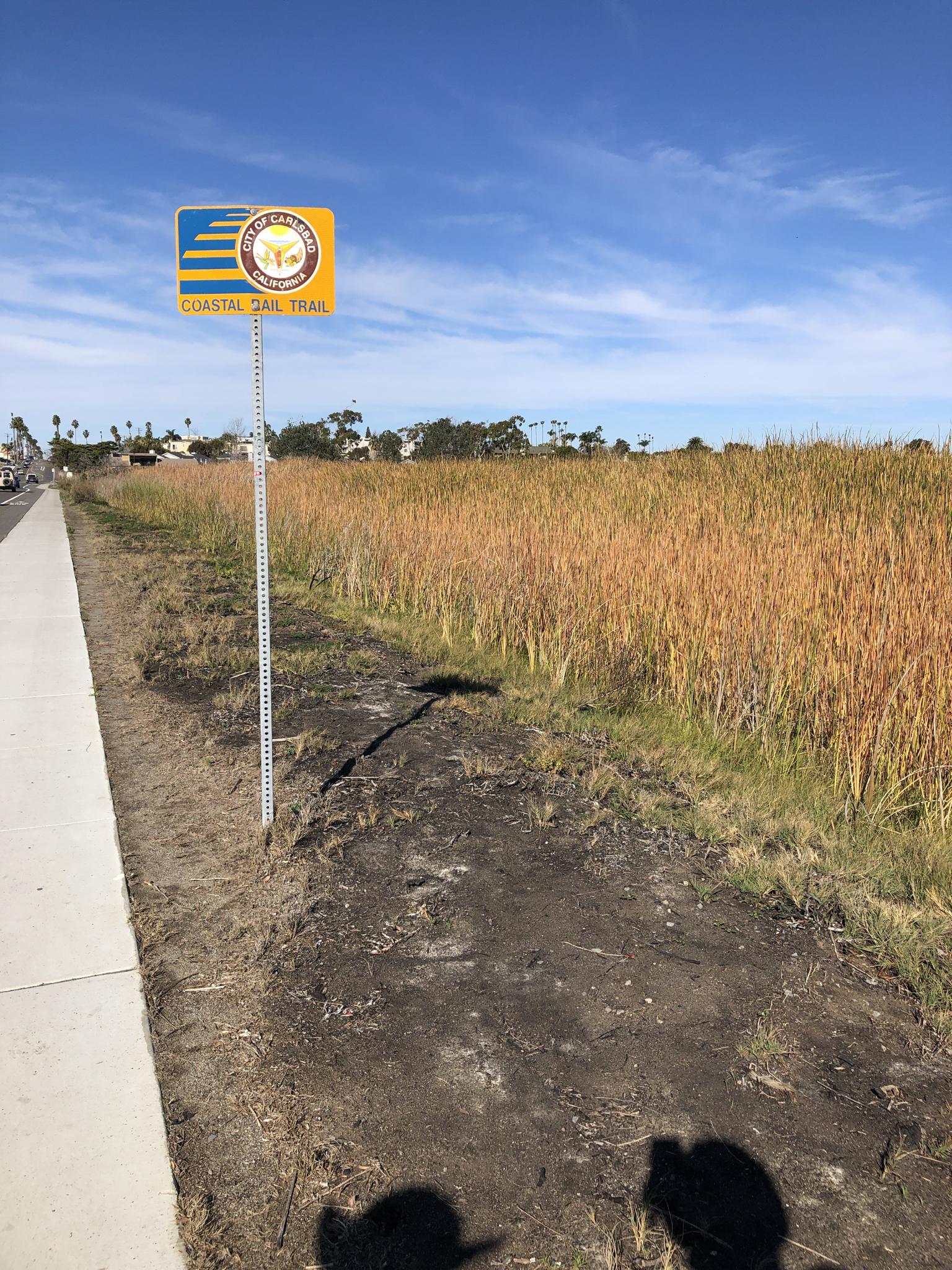 Sunny day with a trail sign, concrete path, and tall golden grass.