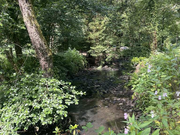 Penllergare Valley Woods to Lake Side loop hike Komoot