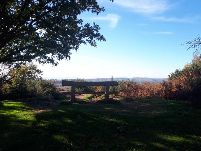 Woolbeding Common loop to Titty Hill — South Downs National Park | hike ...