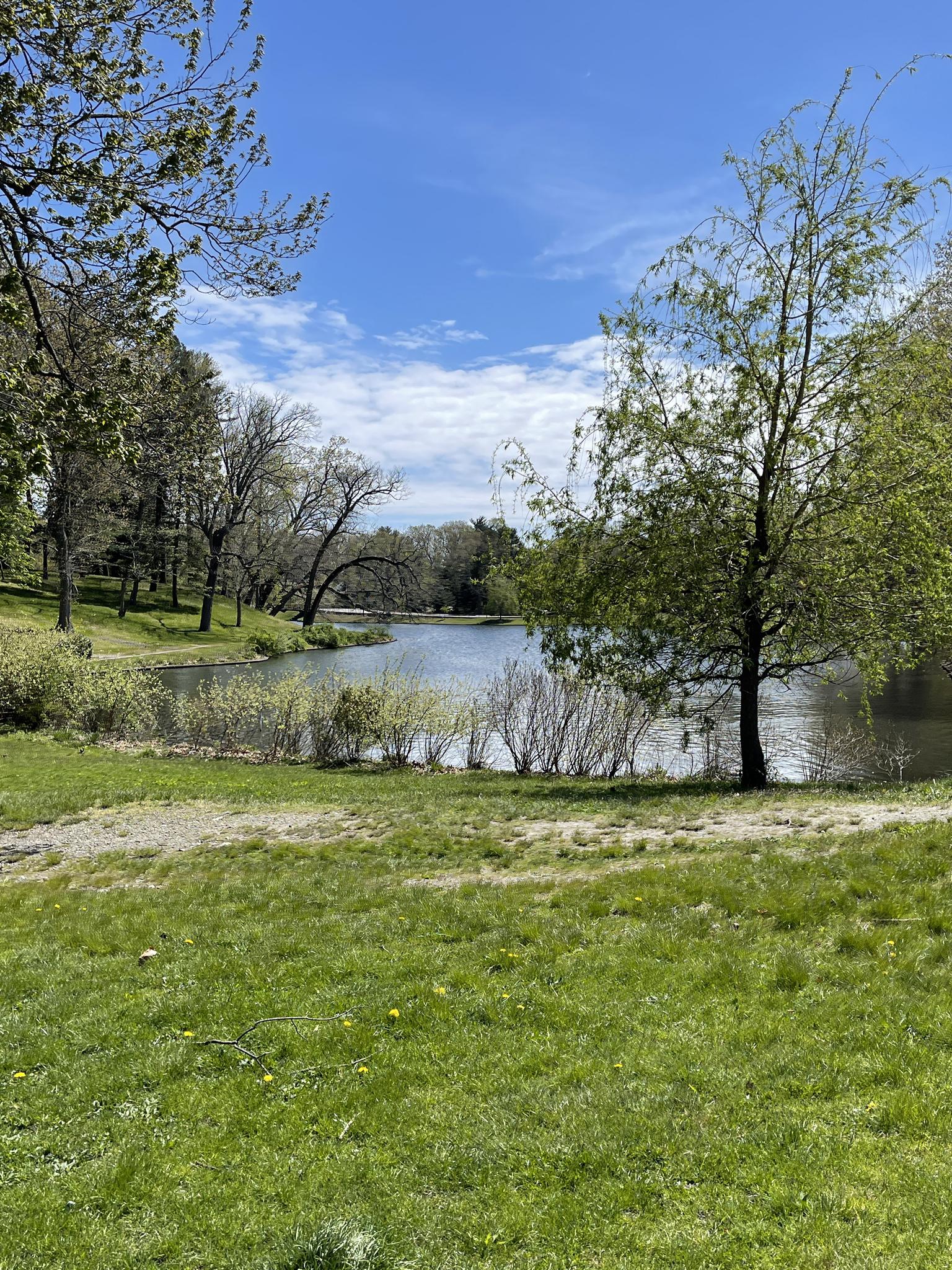 Green grass and trees overlook a calm lake under a bright blue sky.