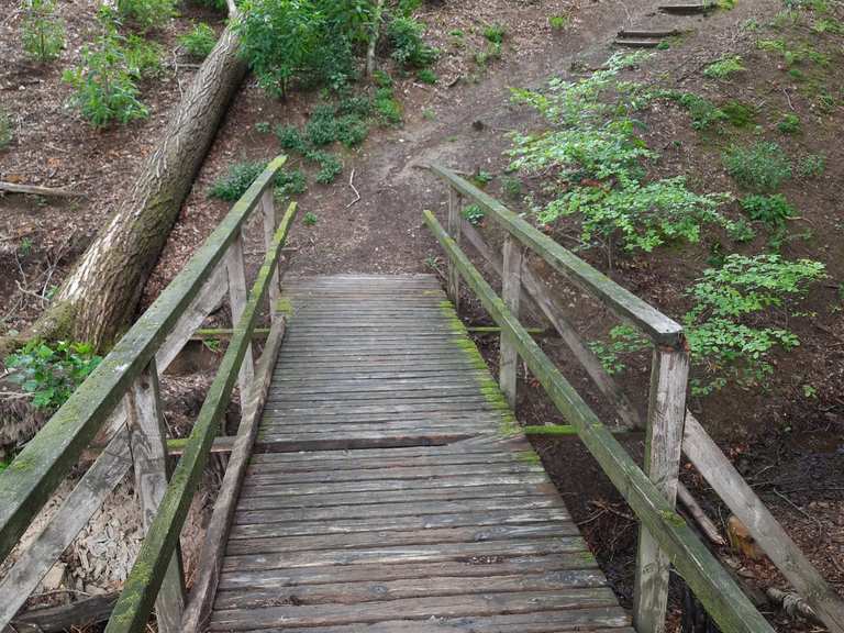Brücke über einen Bach Wanderungen und Rundwege komoot