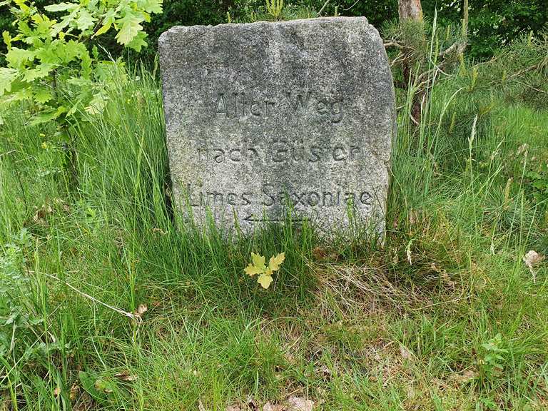 Gedenkstein Limes Saxoniae bei Hornbek: Wanderungen und Rundwege | komoot