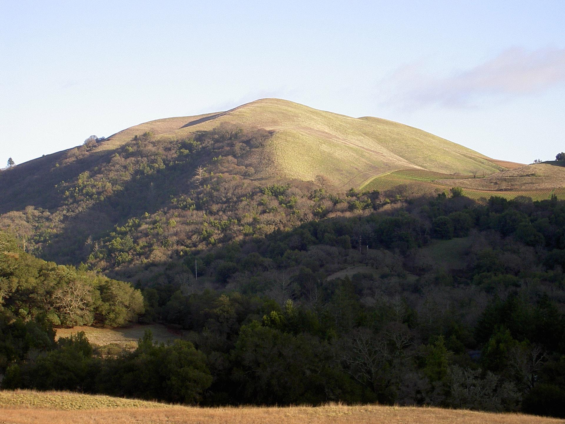 Sunny view of a large, grassy hill with forested slopes and clear sky.