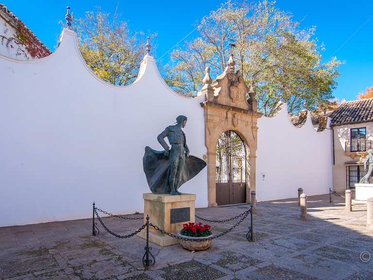 0?width=768&height=576&crop=true