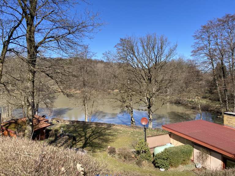 Infotafel 14 Windhainer Teich Wanderungen und Rundwege komoot