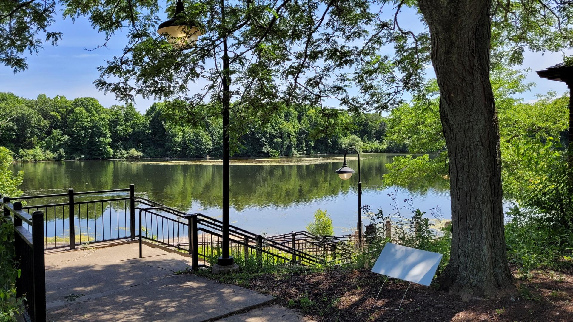A calm lake viewed from a paved overlook with a black railing.