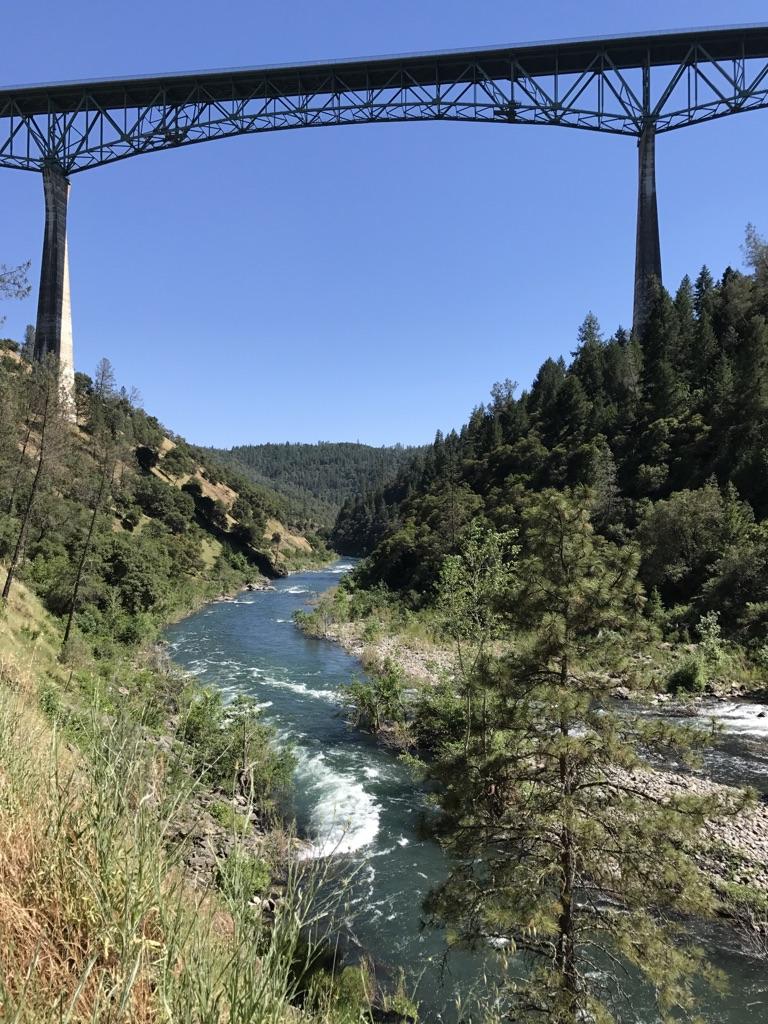 A tall bridge crosses a river flowing through a forested canyon on a sunny day.