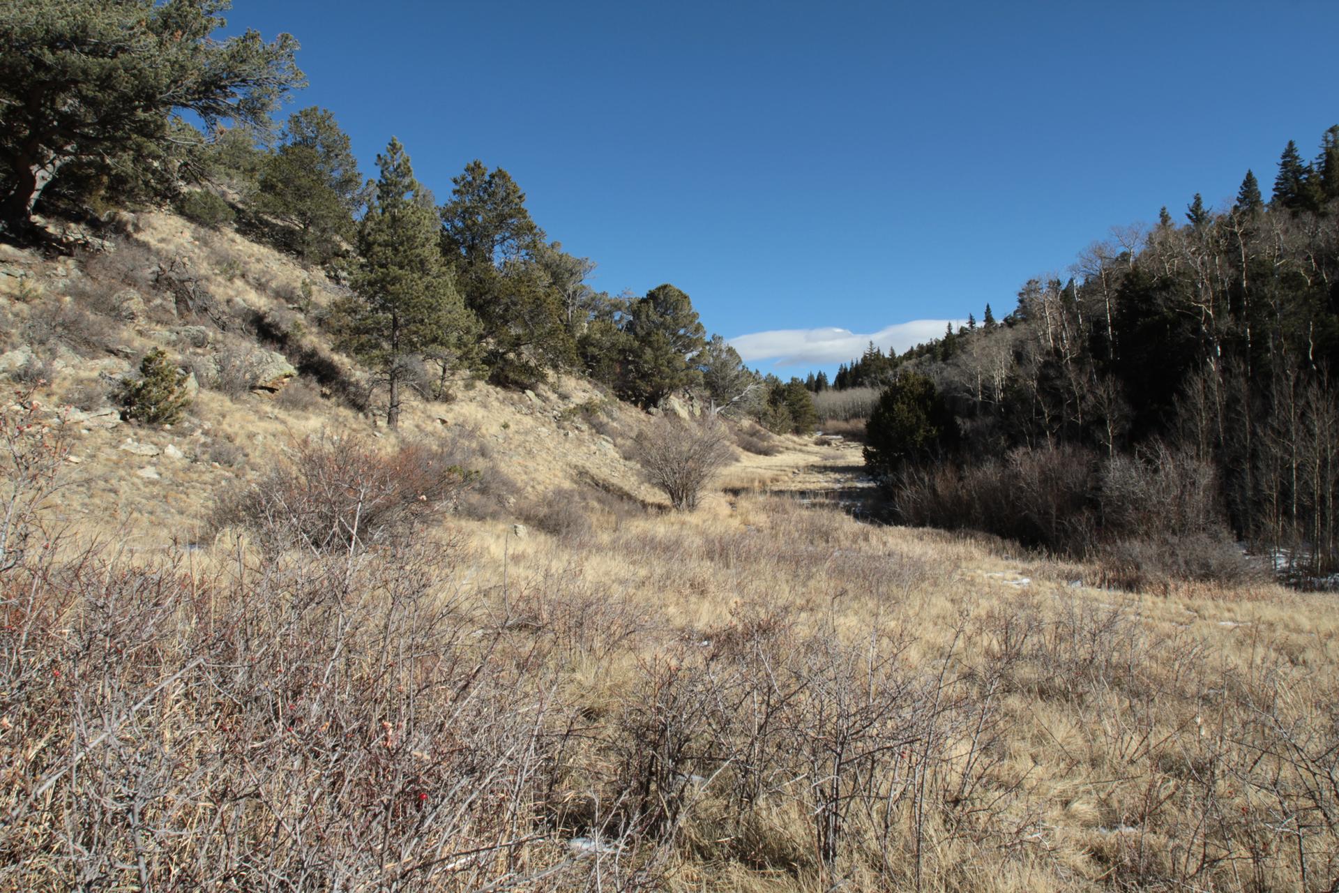A wide, dry valley with sparse vegetation under a clear blue sky.