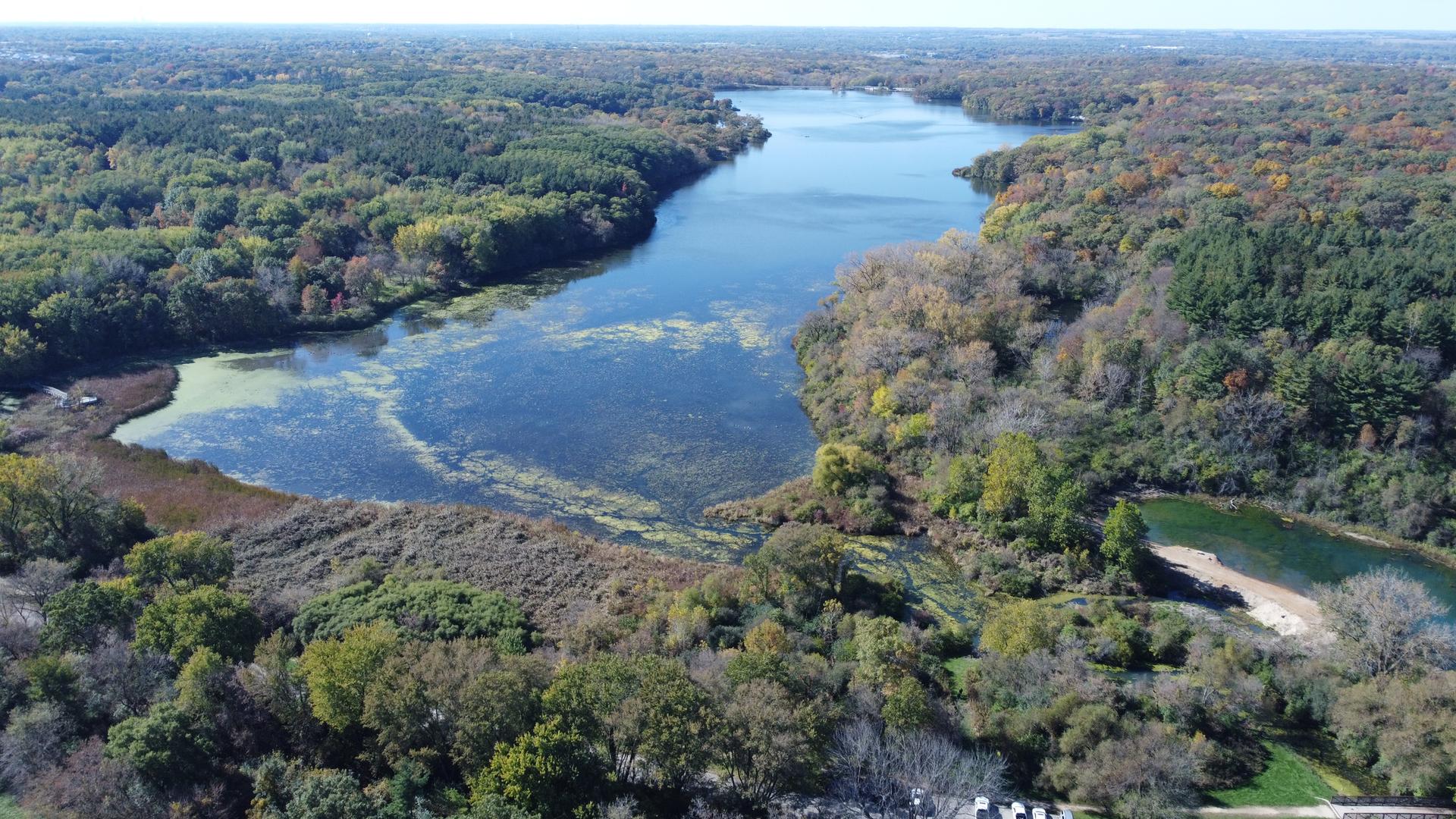 Aerial view of a winding river through expansive green and autumn forests.