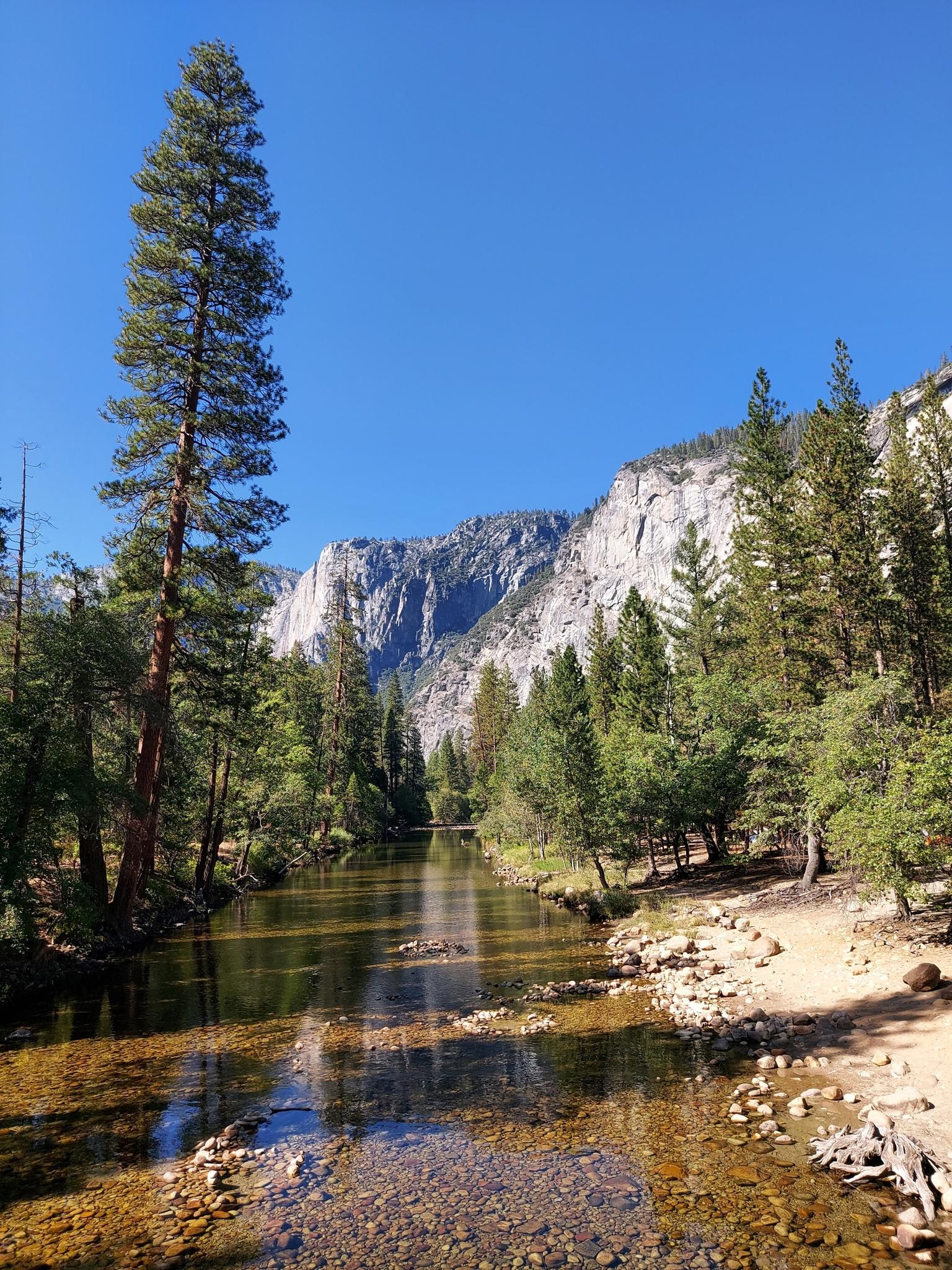Serene river reflects blue sky, surrounded by tall pines and a massive mountain.