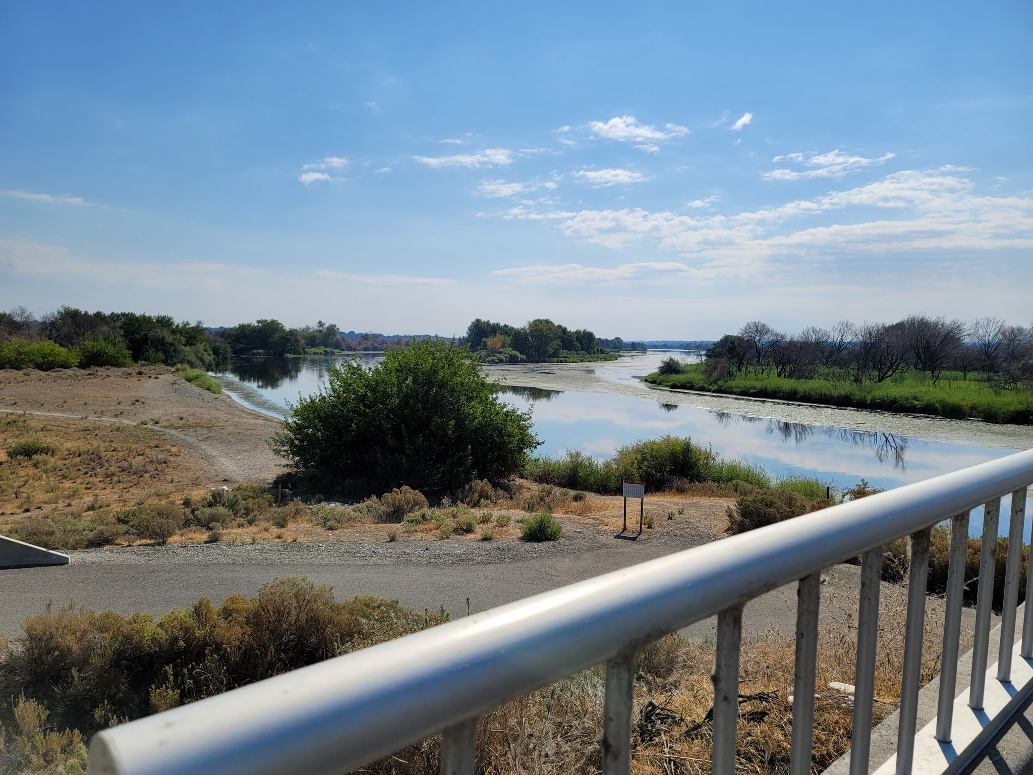 A wide river flows through a dry, green landscape under a bright sky. - Yakima Delta – Chamna Natural Preserve loop from Island View