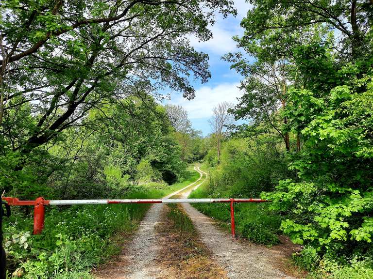 Wanderparkplatz B248 Wanderungen und Rundwege komoot