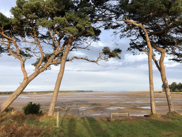 Dunbar Castle gravel loop John Muir Country Park mountain bike ride Komoot