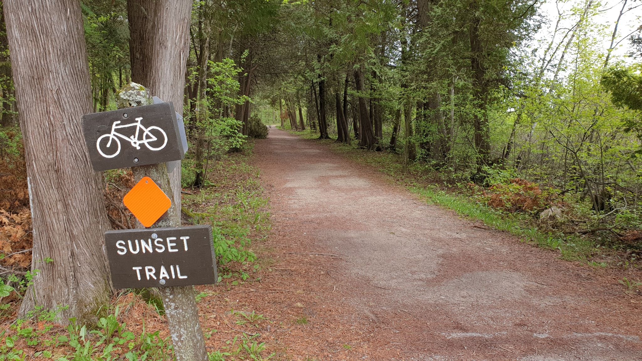 Dirt path through a forest with a bike trail sign on a tree. - Eagle Bluff Lighthouse – Eagle Panorama loop from Fish Creek