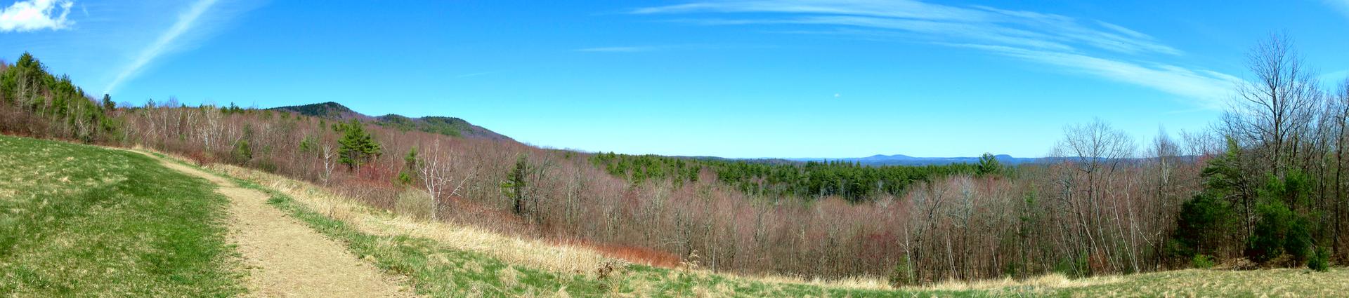 Sunny panoramic view of a dirt path, bare trees, evergreens, and distant mountains.