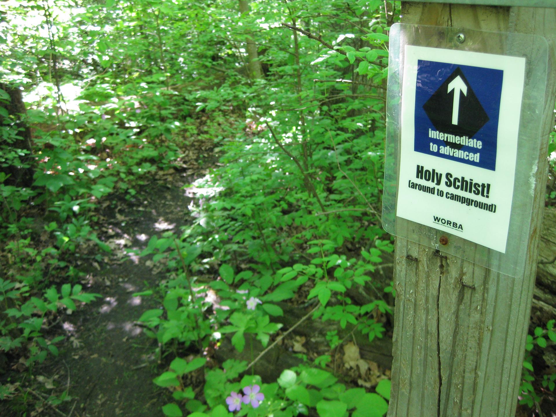 Trail sign on post, narrow dirt path, lush green forest, dappled light.