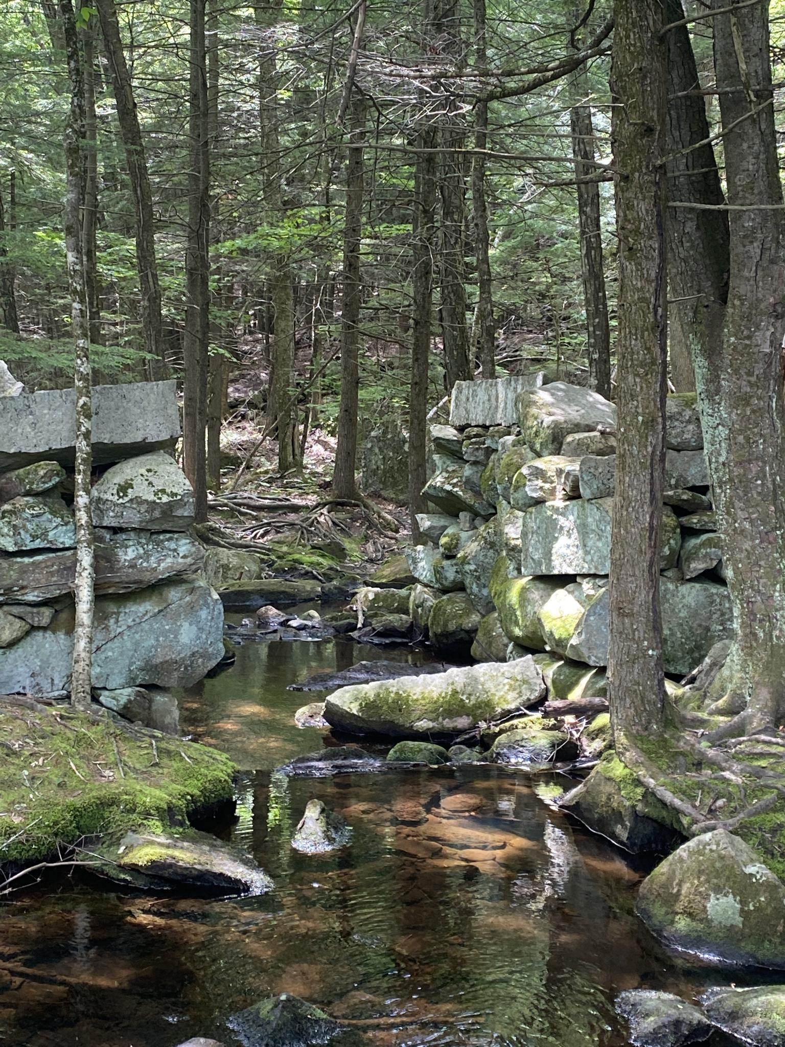 A clear stream flows between two mossy stone walls in a sun-dappled forest.