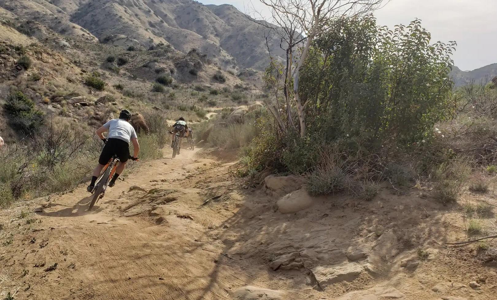 Two mountain bikers riding down a dusty trail on a sunny day.