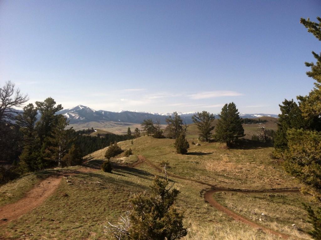 Winding dirt trails on a sunny, grassy hillside with distant snow-capped mountains.