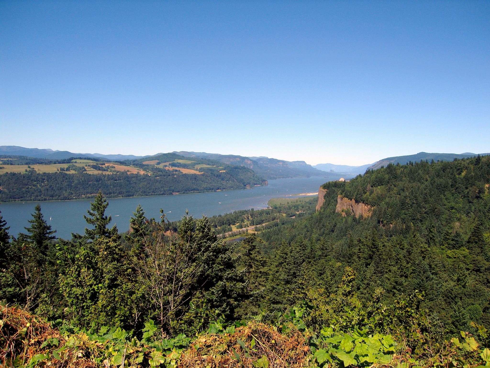 Wide river in a forested valley under a clear blue sky.