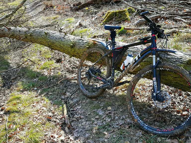 Sch ne abfahr mit garanierter schlampackung mountain bike trails
