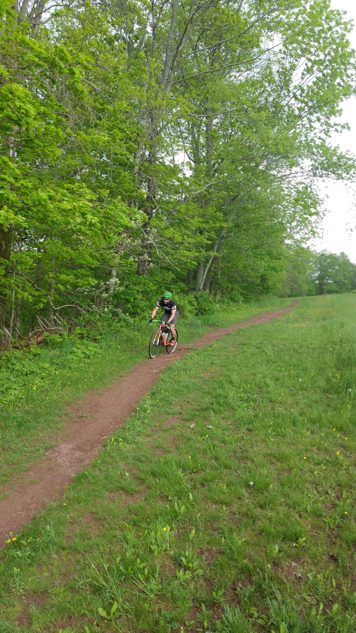 Mountain biker on a dirt path next to a grassy field and trees.