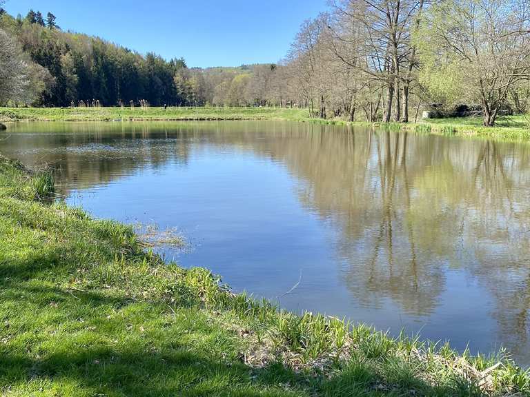 ForellenTeich in Rimbach Mountain Bike Trails & Tracks Komoot
