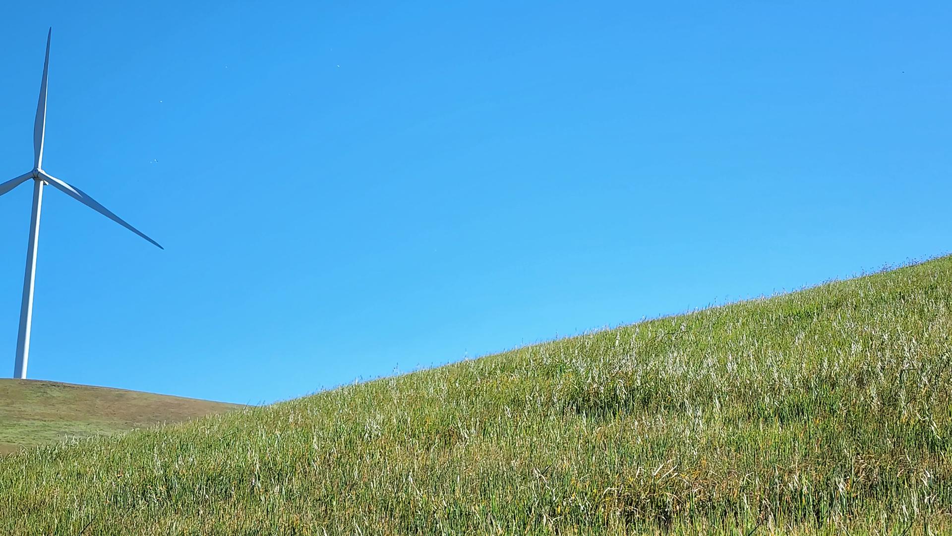 A large wind turbine stands on a grassy hill against a bright blue sky.